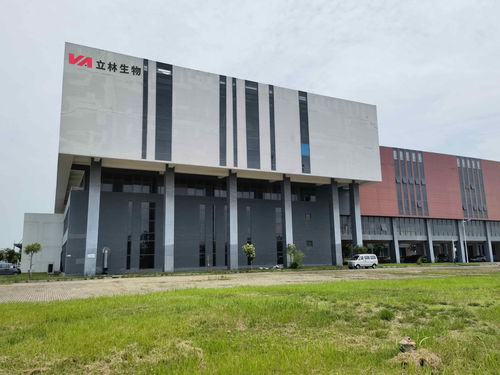 雙品牌戰(zhàn)略驅(qū)動，雙廠布局夯實根基 蓋夫內(nèi)外貿(mào)并舉，技術(shù)開發(fā)引領(lǐng)全球化新篇章