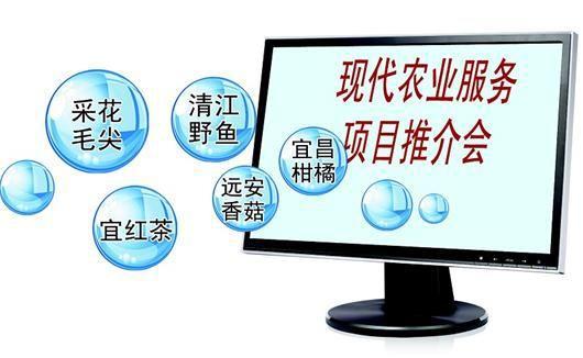 互聯(lián)網(wǎng)+農(nóng)產(chǎn)品 營(yíng)銷新模式助推農(nóng)業(yè)現(xiàn)代化